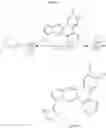 Fig. 1007 - GDF-8 inhibitors