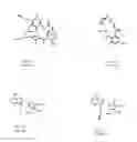 Fig. 02 - Small-molecule HSP90 inhibitors