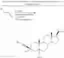 Fig. 124 - 3,3 disubstituted 19-nor pregnane compounds, compositions, and uses thereof