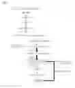 Fig. 02 - RhtB protein variants and the method of producing O-phosphoserine using the same