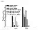 Fig. 02 - Oxyntomodulin derivatives and pharmaceutical composition for treating obesity comprising the same