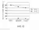 Fig. 13 - sc(Fv)2 SITE-DIRECTED MUTANT