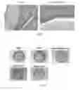 Fig. 06 - Method for and use of blocking immunosuppressive functions of pathogens