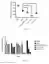 Fig. 07 - Method for and use of blocking immunosuppressive functions of pathogens