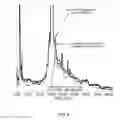 Fig. 07 - Modified antibody constant region