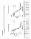 Fig. 47 - Methods and compositions relating to anti-CCR7 antigen binding proteins