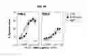 Fig. 06 - Humanized Anti-CD70 Binding Agents and Uses Thereof