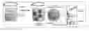 Fig. 01 - AQUEOUS PEPTIDE-STABILIZED POLYURETHANE DISPERSIONS