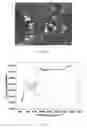 Fig. 02 - Humidity sensor based on squaraine polymer, preparation method and use thereof