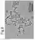 Fig. 09 - Composite phthalocyanine microparticles and method for producing same