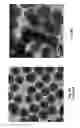 Fig. 06 - Silica Fillers and Methods of Making Same