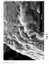 Fig. 07 - Silica Fillers and Methods of Making Same