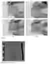 Fig. 06 - Removable smart sequestration coatings for hazardous metals