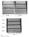 Fig. 09 - Removable smart sequestration coatings for hazardous metals