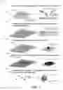 Fig. 02 - Extracellular Matrix Scaffolds