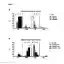 Fig. 02 - In Vitro maturation of a mammalian cumulus oocyte complex