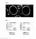 Fig. 07 - In Vitro maturation of a mammalian cumulus oocyte complex