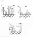 Fig. 09 - In Vitro maturation of a mammalian cumulus oocyte complex