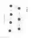 Fig. 02 - Nucleic acid arrays of spatially discrete features on a surface