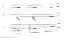 Fig. 01 - Strand displacement stop (SDS) ligation
