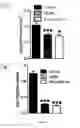 Fig. 06 - Methods for the prevention and the treatment of extracapillary glomerulonephritis
