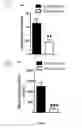 Fig. 08 - Methods for the prevention and the treatment of extracapillary glomerulonephritis