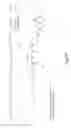 Fig. 45 - RNA interference mediated inhibition of gene expression using chemically modified short interfering nucleic acid (siNA)