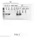 Fig. 06 - Methods for isolating nucleic acids from samples