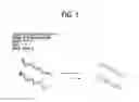 Fig. 02 - Recombinase polymerase amplification