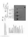Fig. 35 - Recombinase polymerase amplification