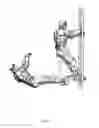 Fig. 02 - Vertically oriented ladder apparatus for allowing a climber to adopt an improved climbing stance in use