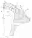 Fig. 11 - Cutting device with wear elements