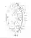 Fig. 07 - Cutting head having segmented cutting disc