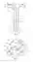 Fig. 04 - Centrifugal pump and fan assembly