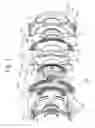 Fig. 07 - Concentric V-groove coupling