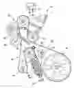 Fig. 01 - Belt drive system for an internal combustion engine