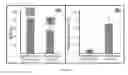 Fig. 09 - Fluid separator for point of care molecular diagnostics