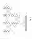 Fig. 02 - Histochemical assay for evaluating expression of programmed death ligand 1 (PD-L1)