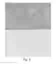 Fig. 09 - Histochemical assay for evaluating expression of programmed death ligand 1 (PD-L1)