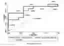 Fig. 01 - Drug efficacy test method for dementias utilizing astrocyte-derived exosomes