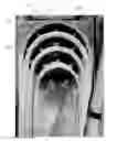 Fig. 01 - DEVICE AND SYSTEM FOR CABLE MANAGEMENT AND ROUTING
