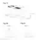 Fig. 08 - Illumination device