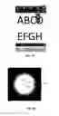 Fig. 06 - Image processing for introducing blurring effects to an image