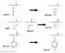Fig. 01 - WATER-SOLUBLE MEMBRANE PROTEINS AND METHODS FOR THE PREPARATION AND USE THEREOF