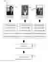 Fig. 01 - Utilizing deep learning for automatic digital image segmentation and stylization