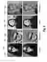 Fig. 08 - Utilizing deep learning for automatic digital image segmentation and stylization