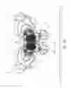 Fig. 06 - Magnetic anode for sputter magnetron cathode