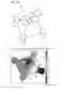 Fig. 06 - Hall sensor device and hall sensing method