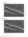 Fig. 02 - Graphite film, laminate film, method for producing same, and electrode material