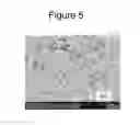 Fig. 04 - NONAQUEOUS ELECTROLYTE SECONDARY BATTERY
